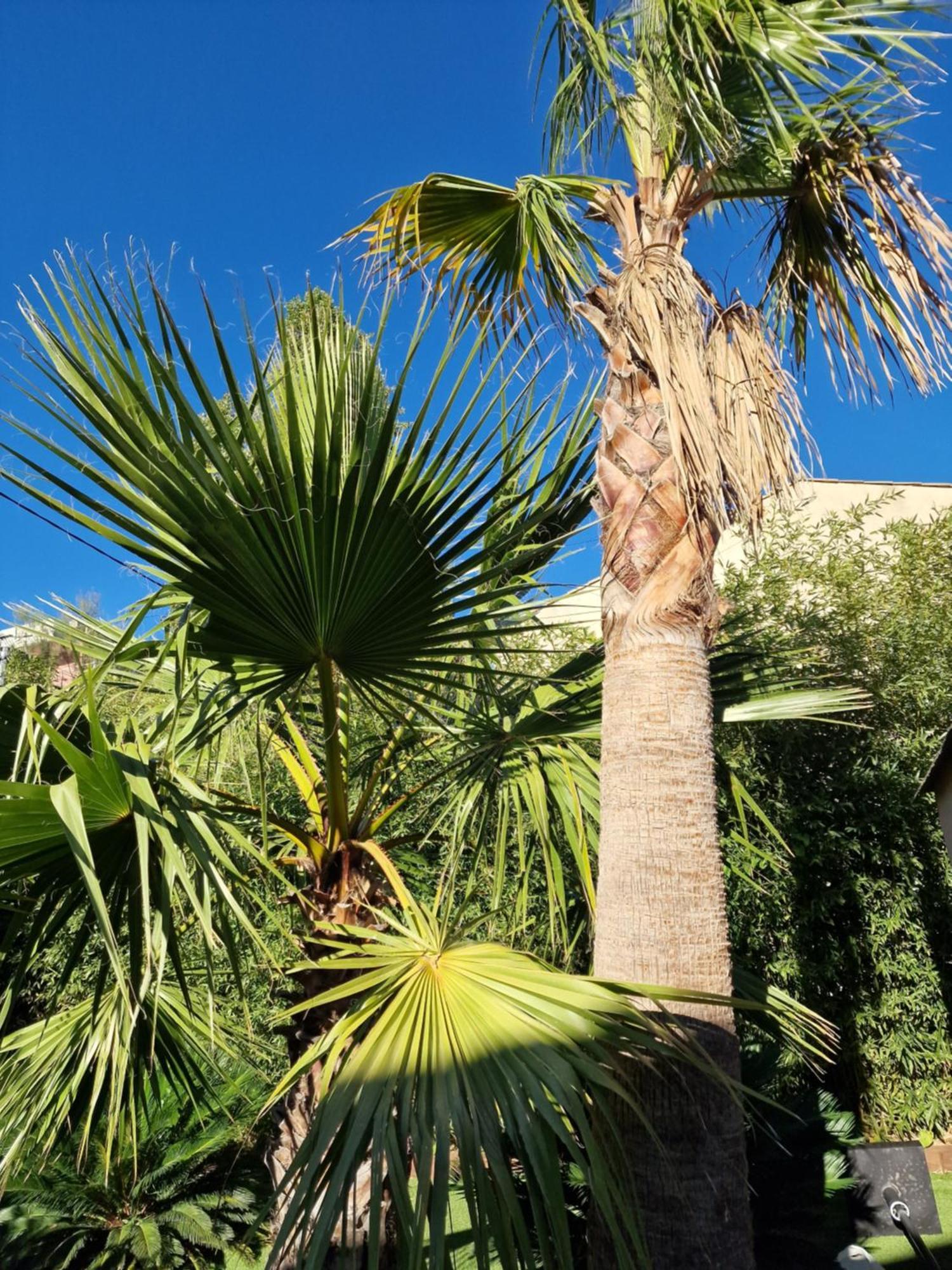 De A 700 Metres De La Plage, Totalement Independant Et Accessible Par Un Escalier Exterieur Apartment Sainte-Maxime